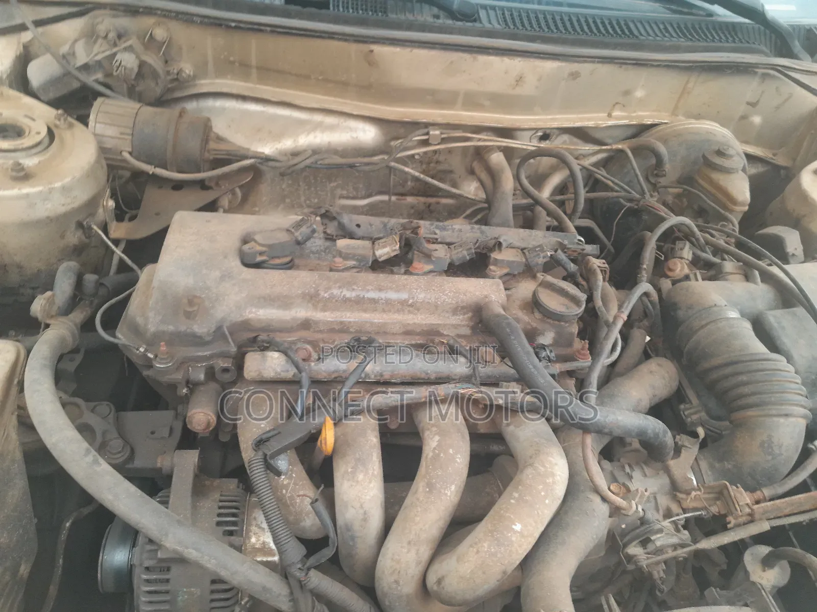 Toyota Corolla 2000 Gold