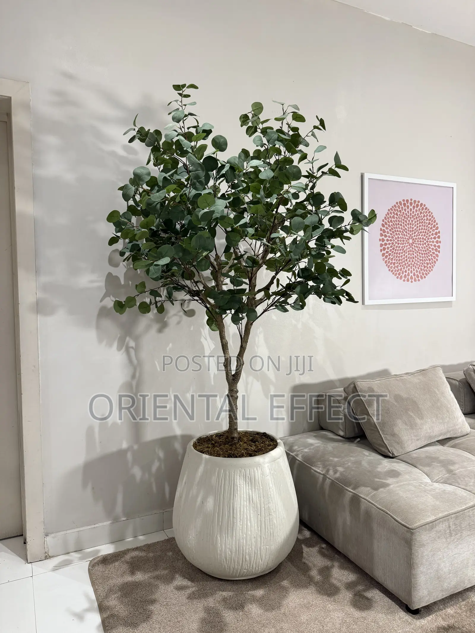 Twin Eucalyptus Tree in Nude Rough Big Merlot Pot – Interior Styling
