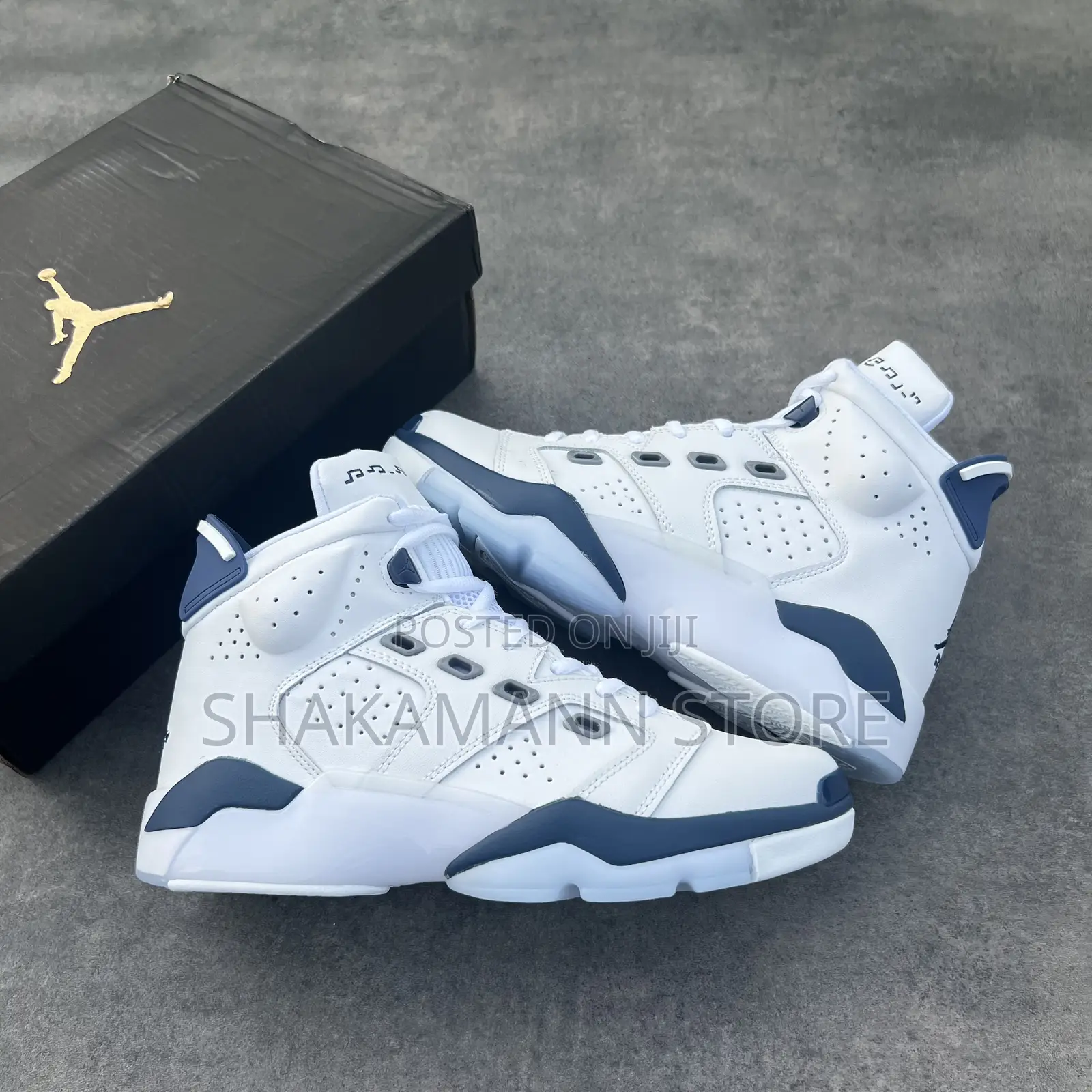 Air Jordan 6 White and Blue