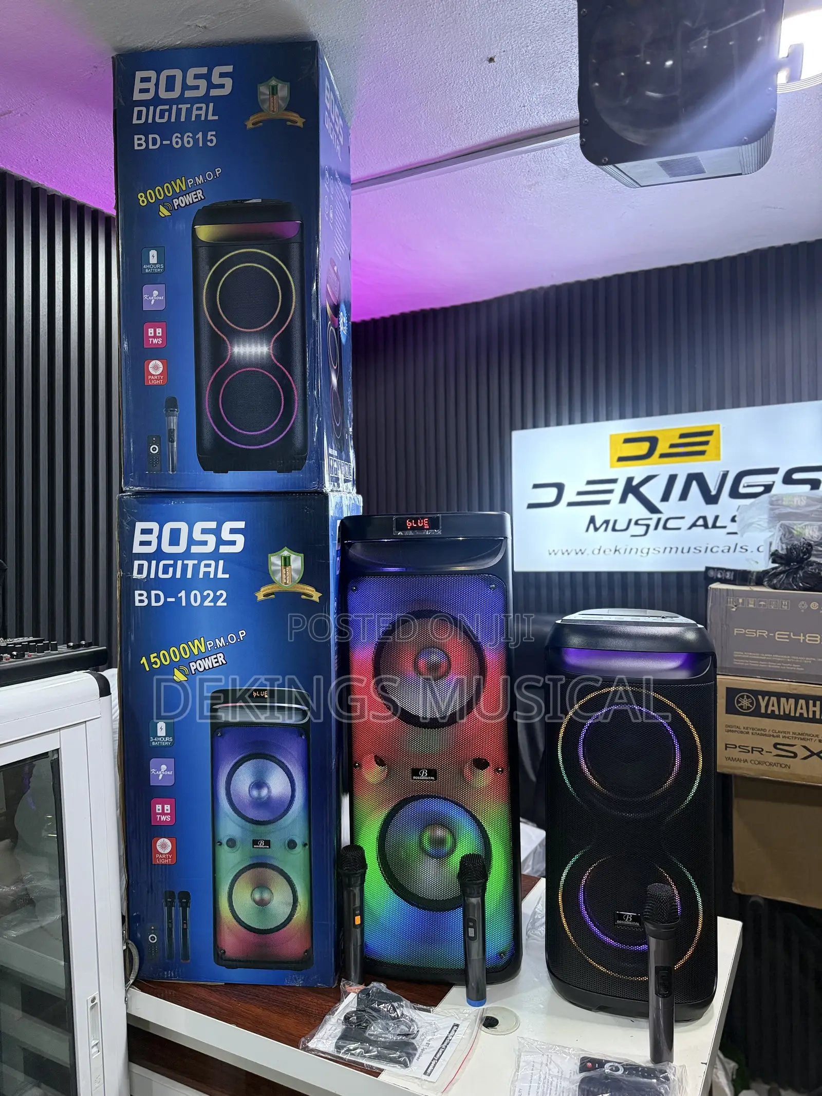 Boss Digital Bd1022 Partybox Speaker and Karaoke Speaker