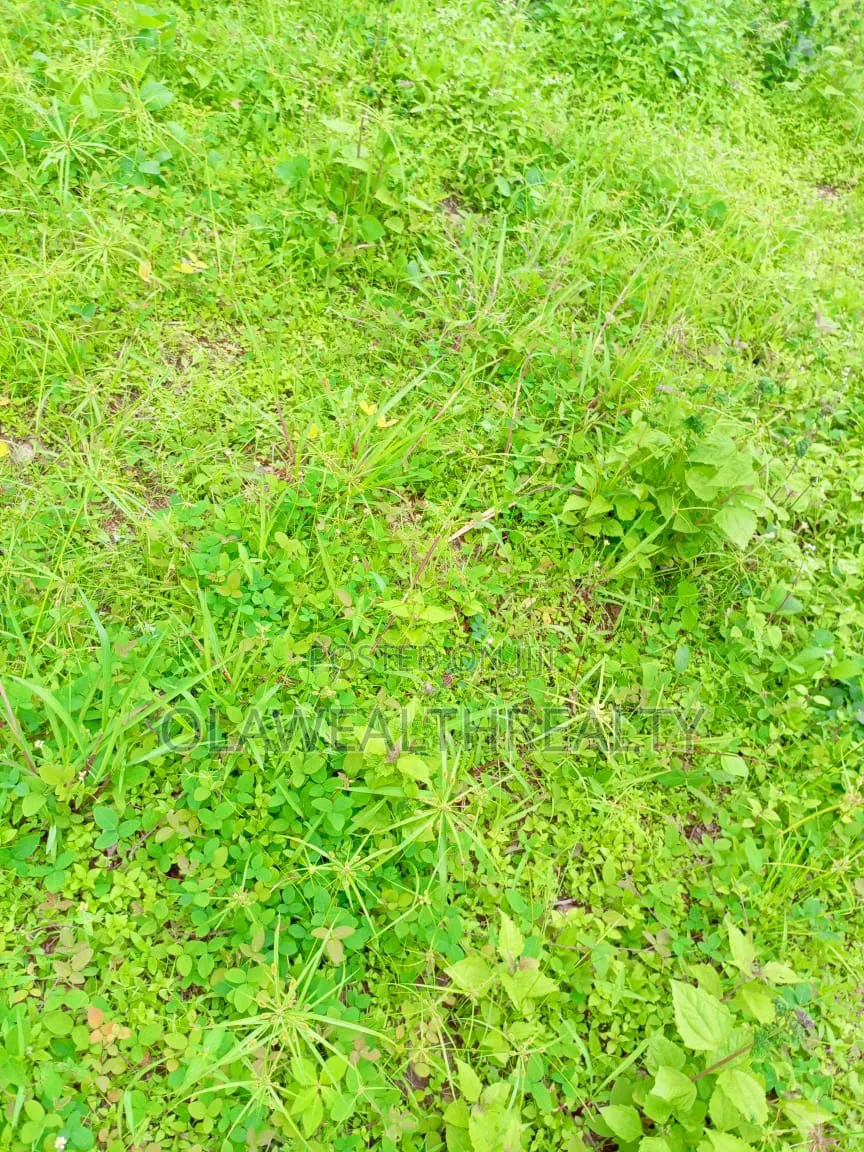 850sqm Duplex Plot at Guzape