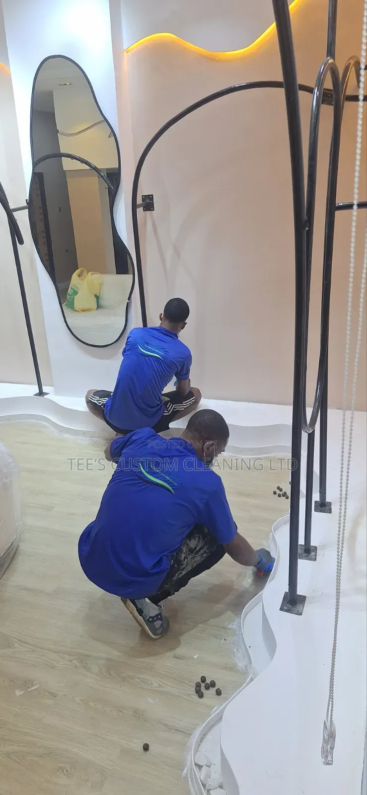 Professional Cleaning and Fumigation Services