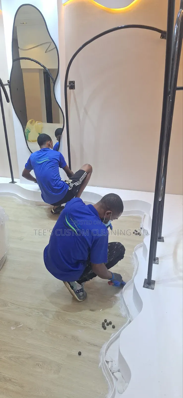 Professional Cleaning and Fumigation Services