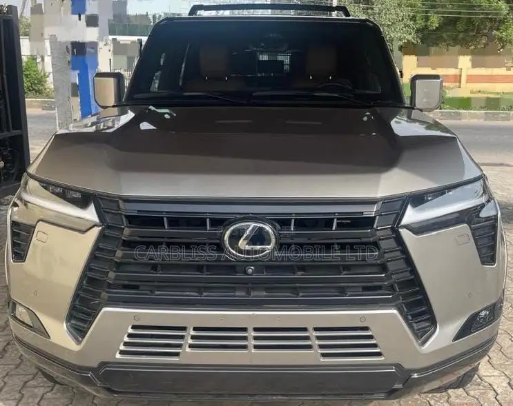 Lexus GX 550 Overtrail 2024 Gray