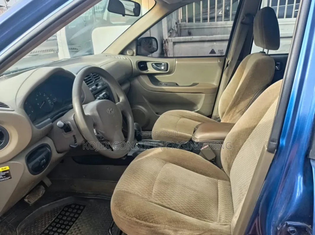 Hyundai Santa Fe 2004 Blue