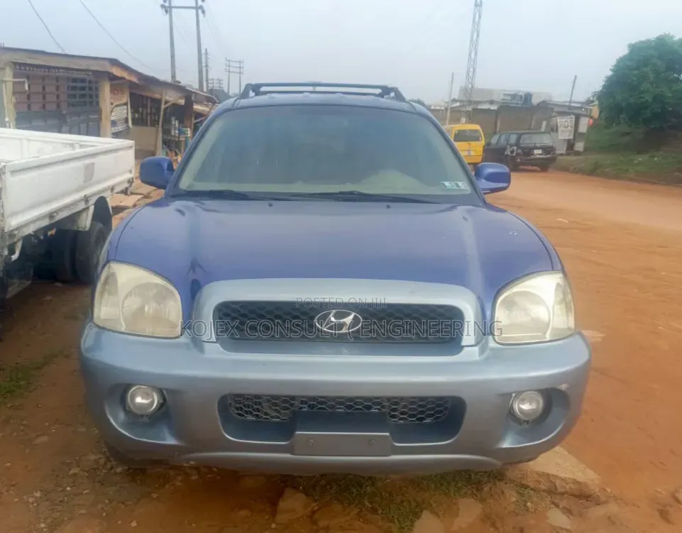 Hyundai Santa Fe 2004 Blue