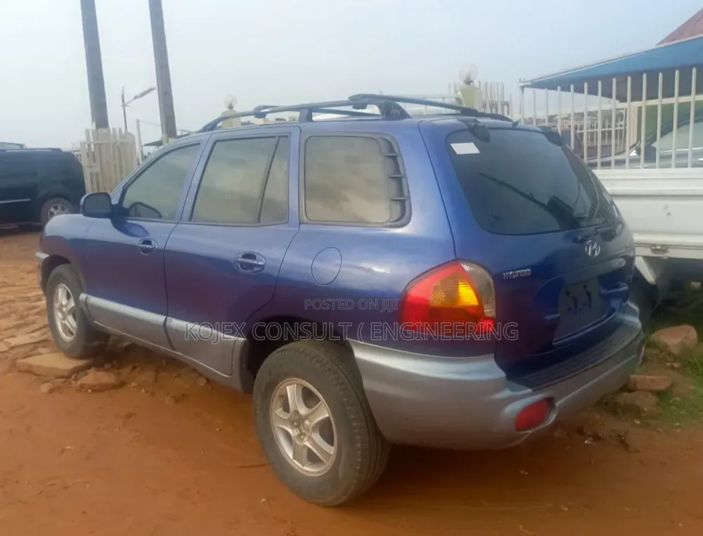 Hyundai Santa Fe 2004 Blue