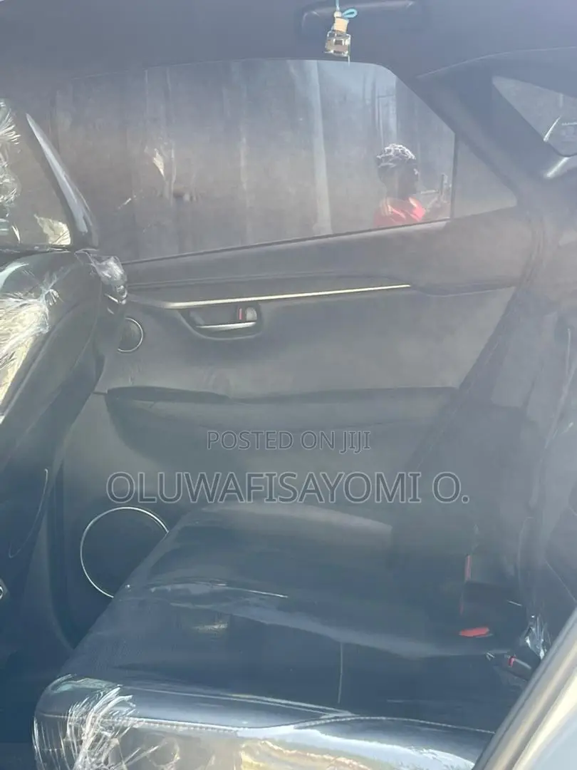 Lexus NX 300 AWD 2018 Silver