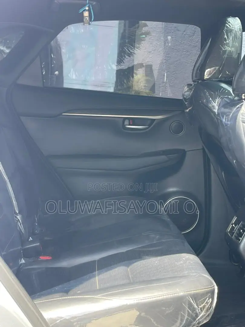 Lexus NX 300 AWD 2018 Silver
