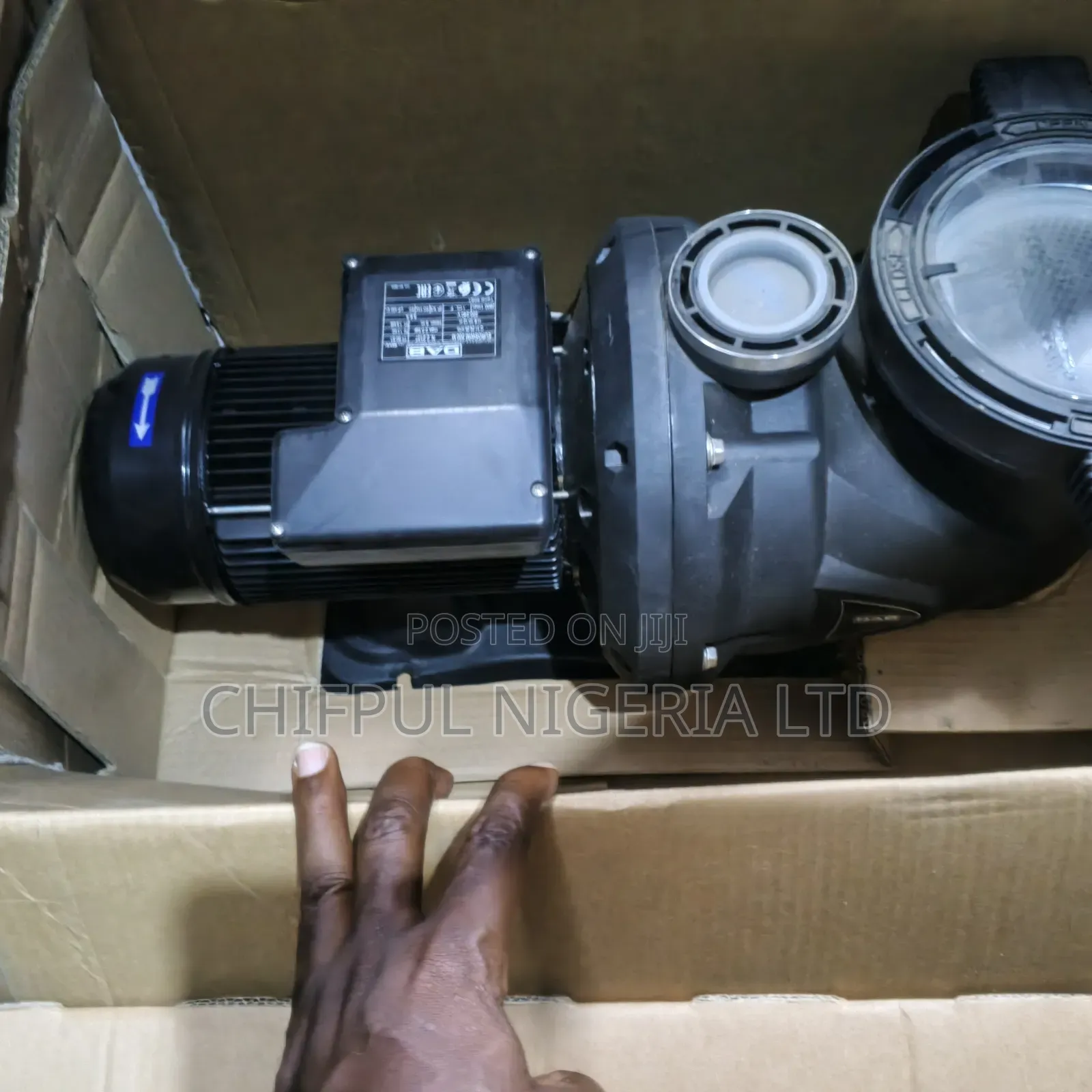 Dab Original Swimming Pools Pump