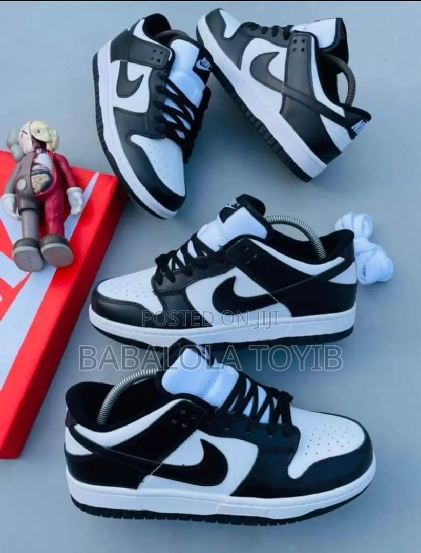 Nike Sb Shoes