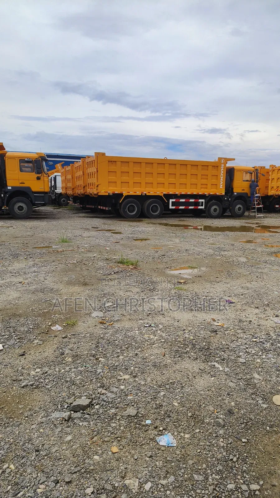 Brand New 12 Tyre Dump Truck 380hp