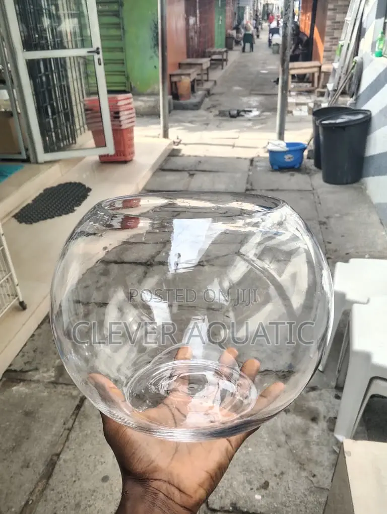 Fish Bowl (Size 25)