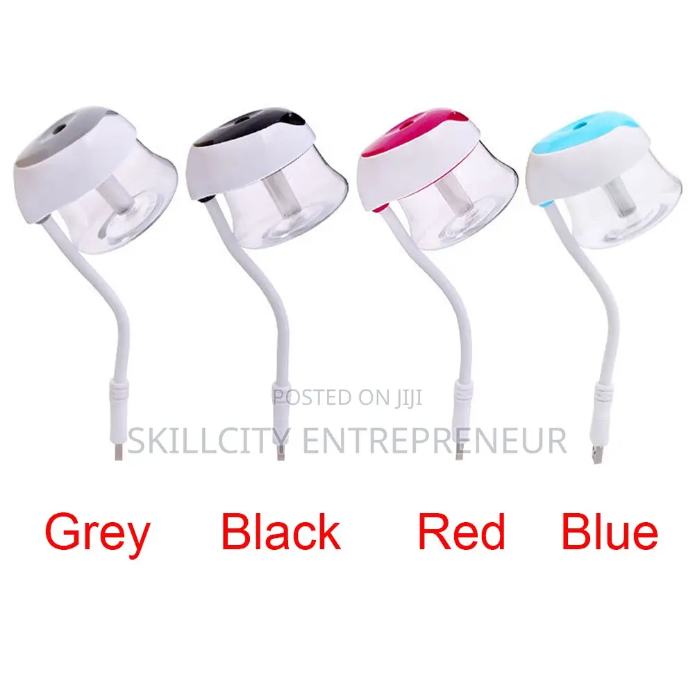 Car Aromatherapy Humidifier