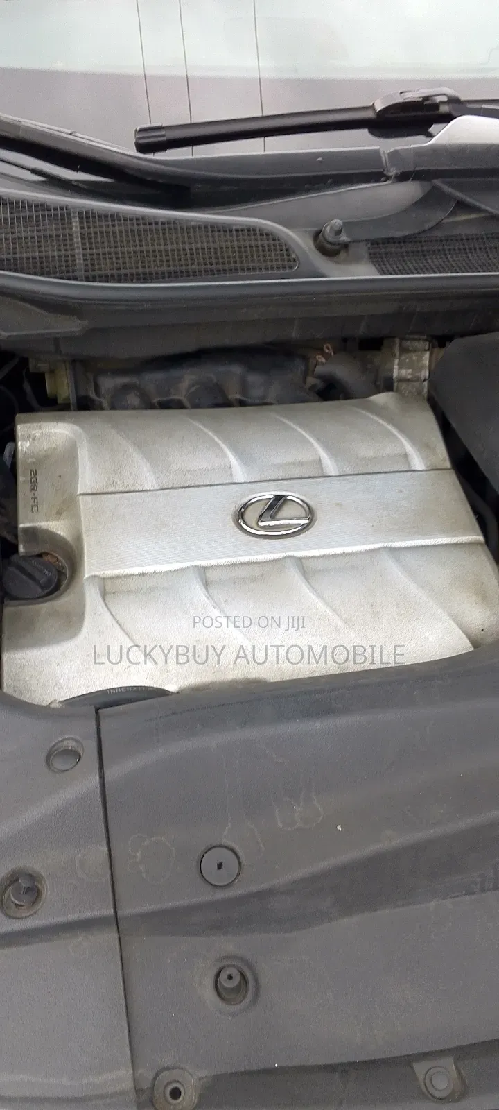 Lexus RX 2010 White