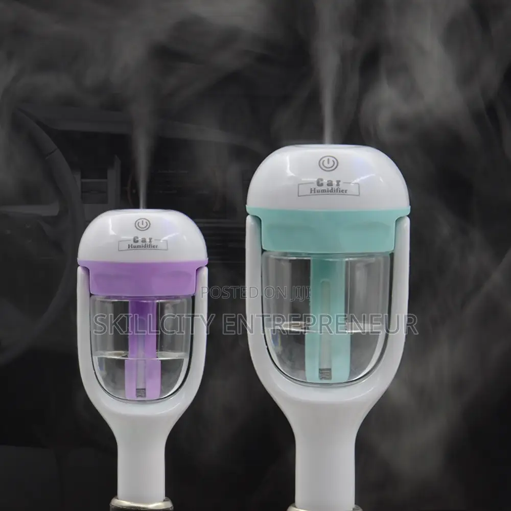 Micro-Mist Car Humidifier