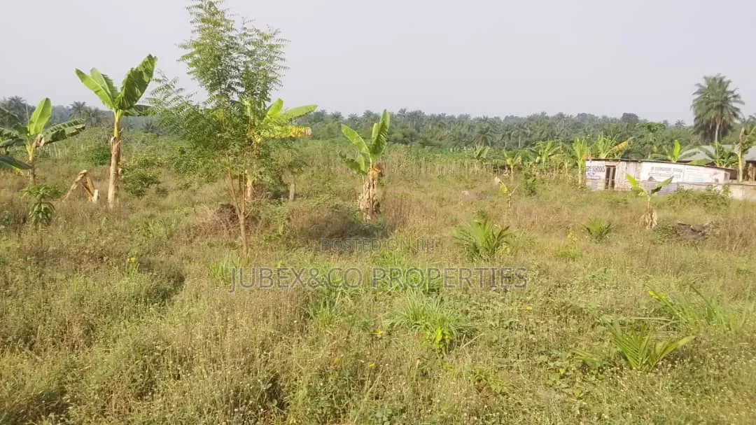 600 SQM Land at Elerangbe Ibeji Lekki