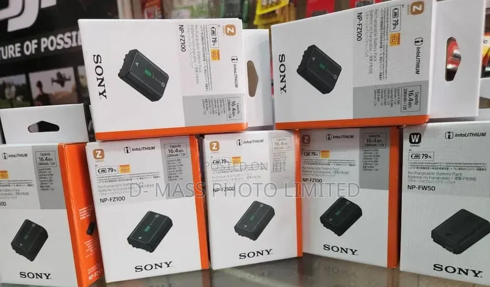Sony Battery Np-Fz100