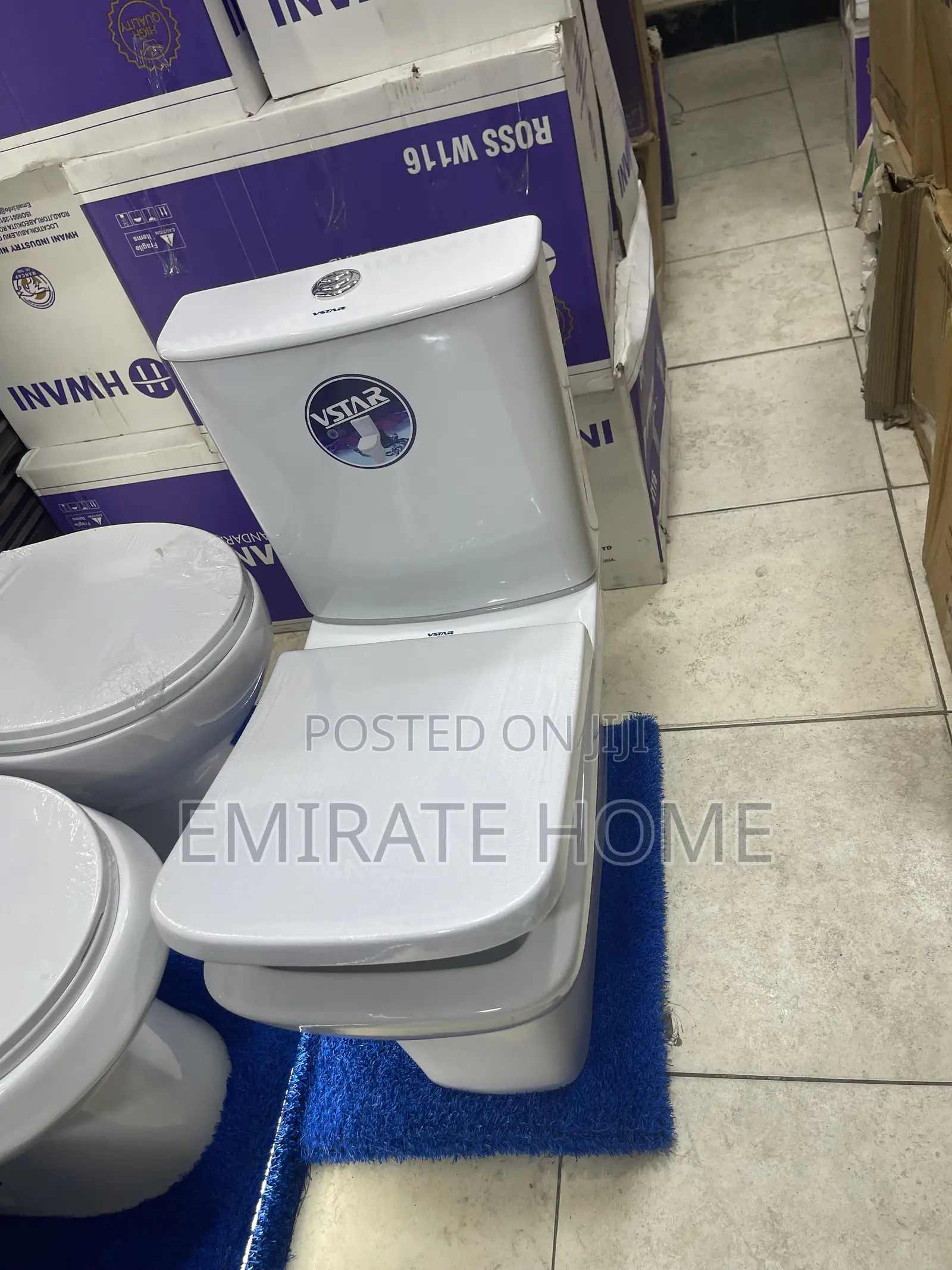 Executive Vstar Toilet Seat With Complete Wash Hand Basin