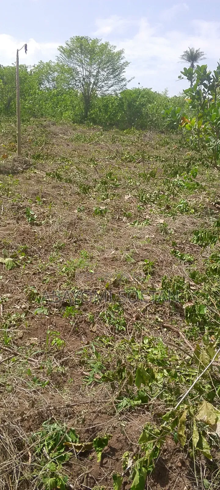 A Plot of Land Measuring 539 SQM at Obada, Abeokuta,Ogun State.