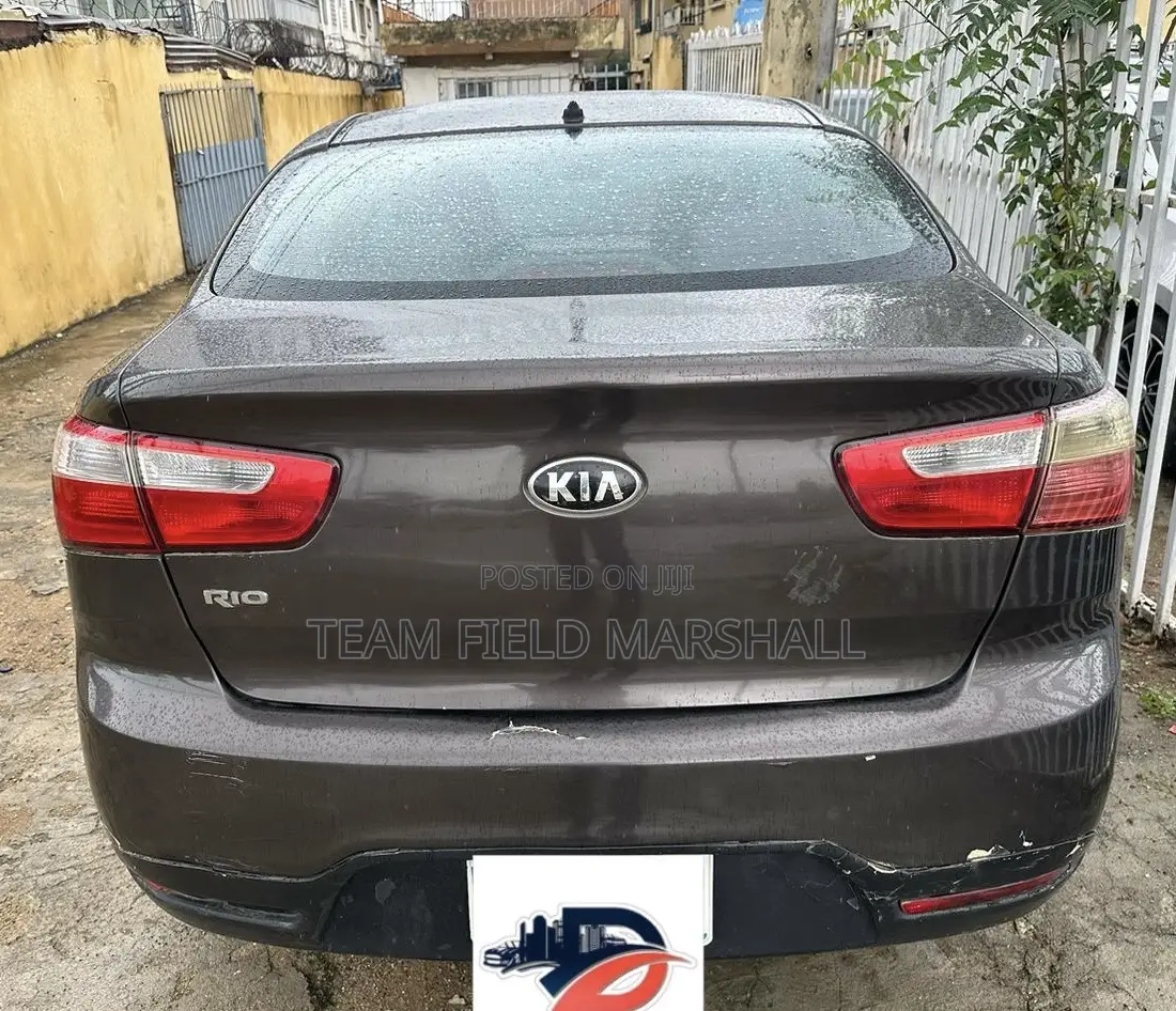 Kia Rio EX 4dr Sedan (1.6L 4cyl 6A) 2014 Gray