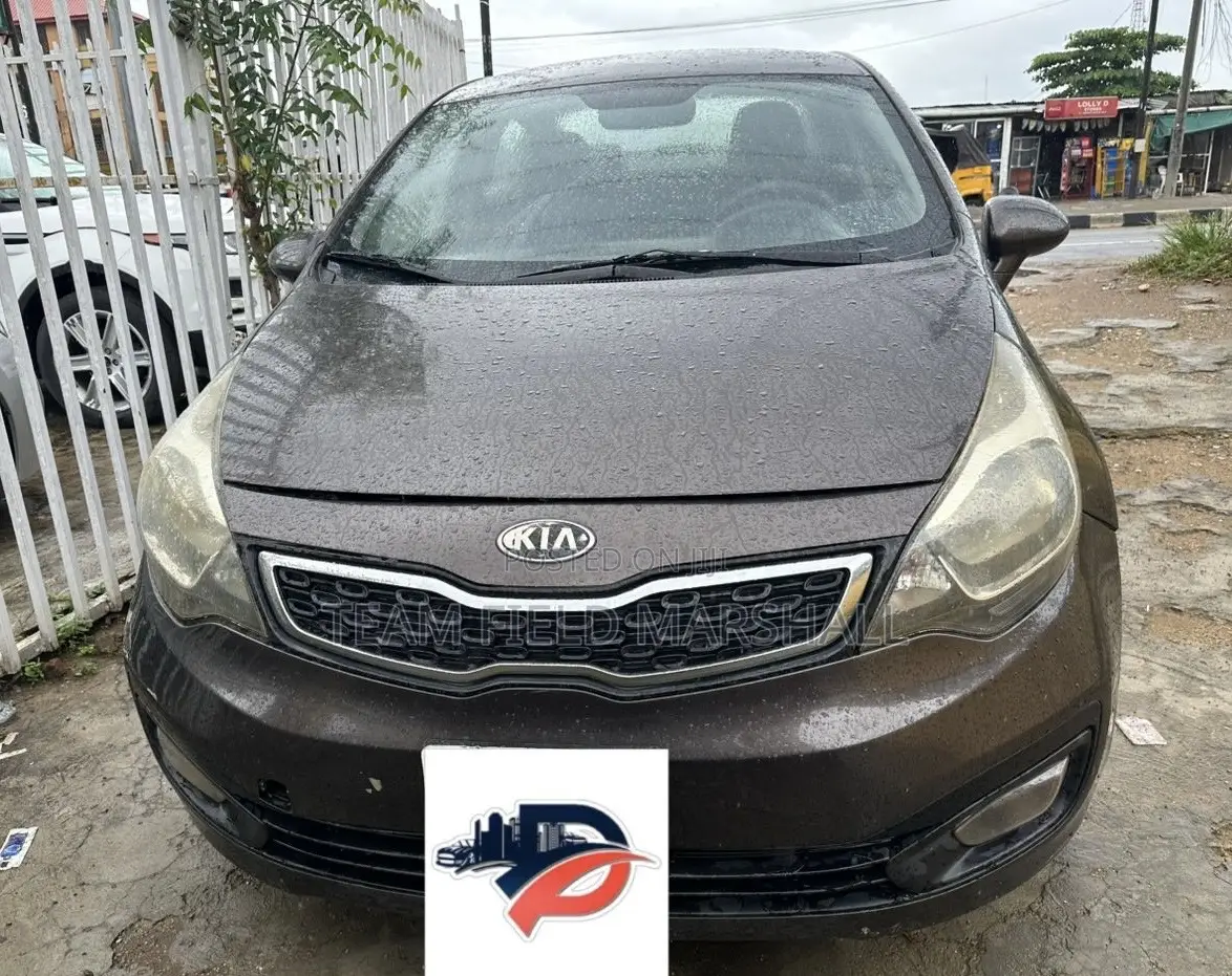 Kia Rio EX 4dr Sedan (1.6L 4cyl 6A) 2014 Gray