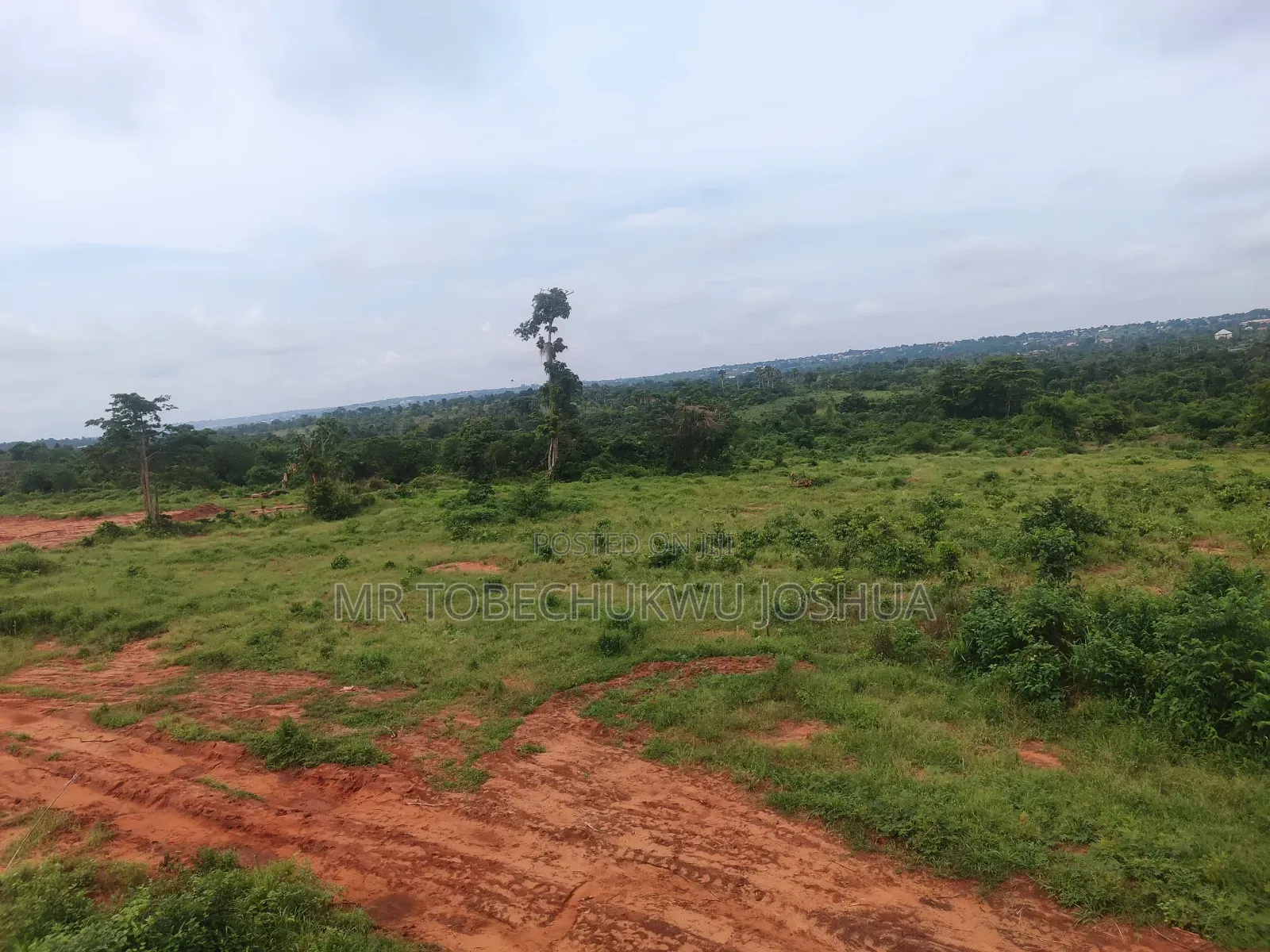 Prime Dry Land for Sale in Fast-Developing Area”