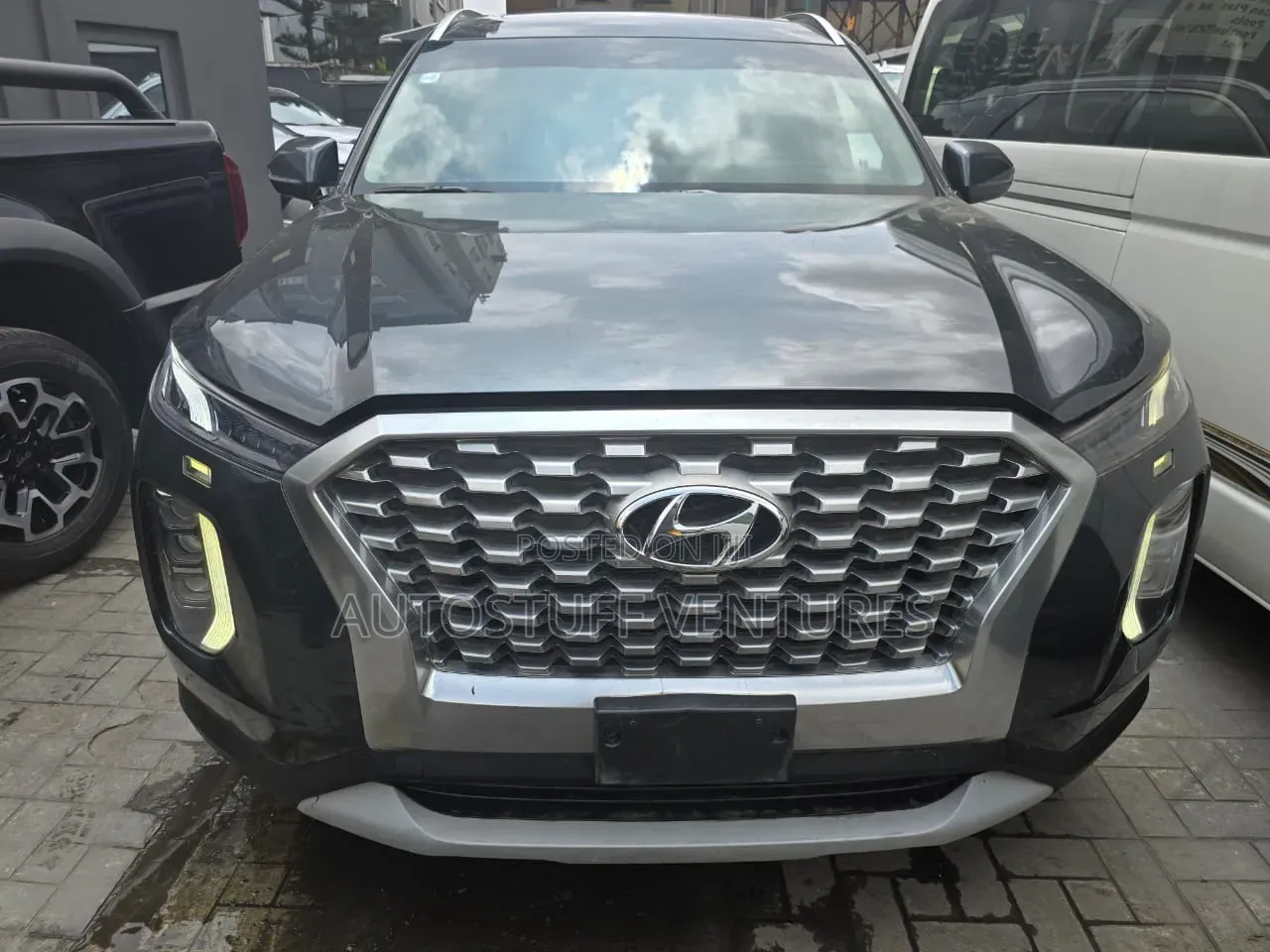 Hyundai Palisade 2020 Gray