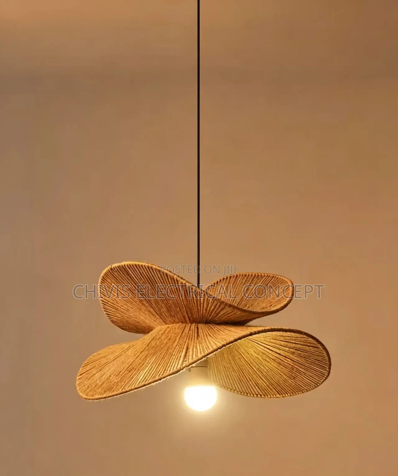 Hand Weave Hemp Rope Pendant Light Indoor Modern Hanging Lamps