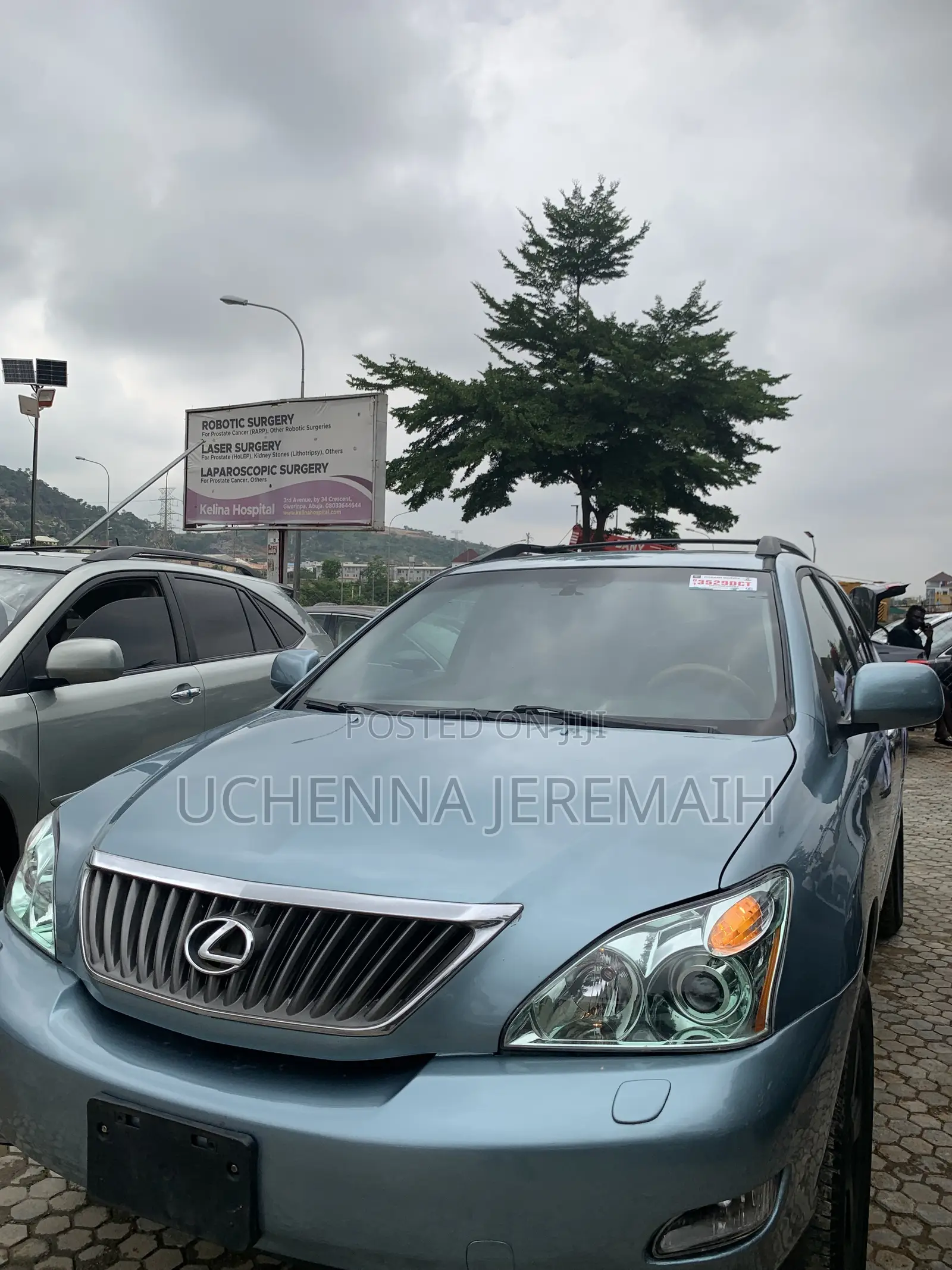 Lexus RX 2008 Blue