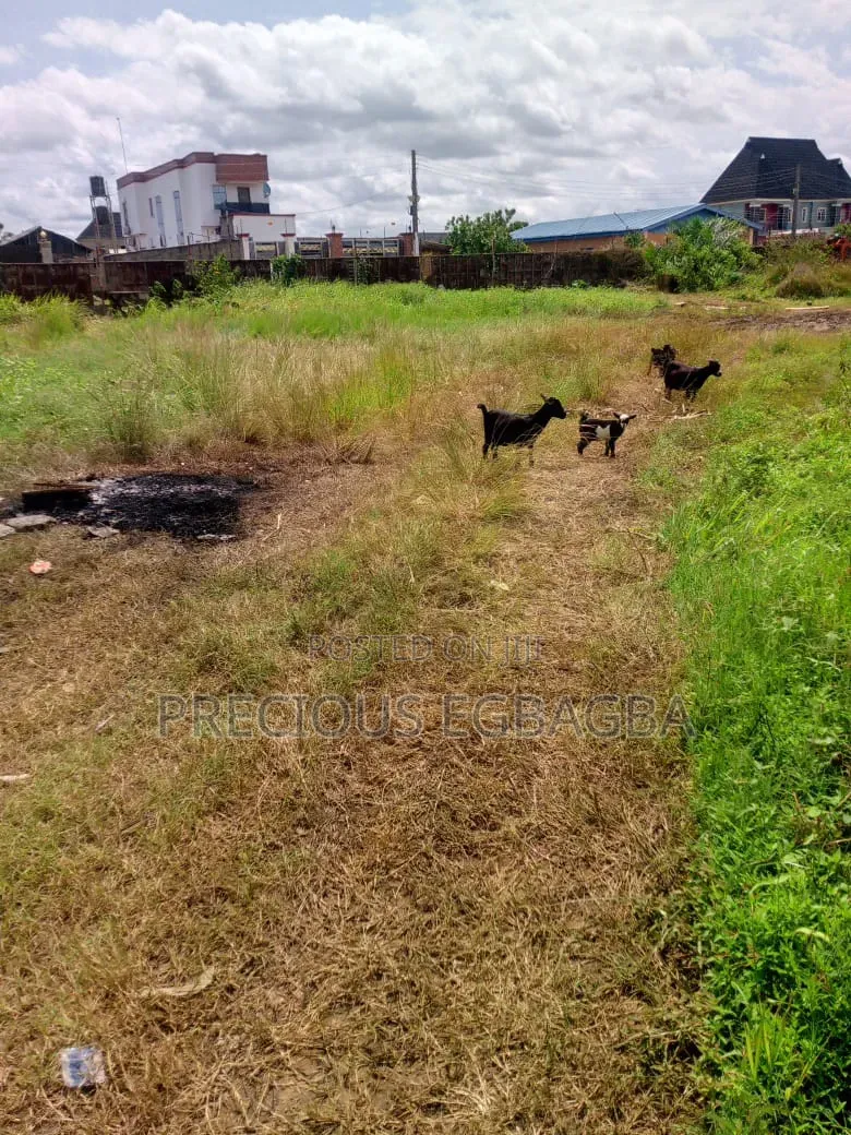 6 Plots of Land of Dry Land at Ijedodo Close to Jakande Estate Isolo