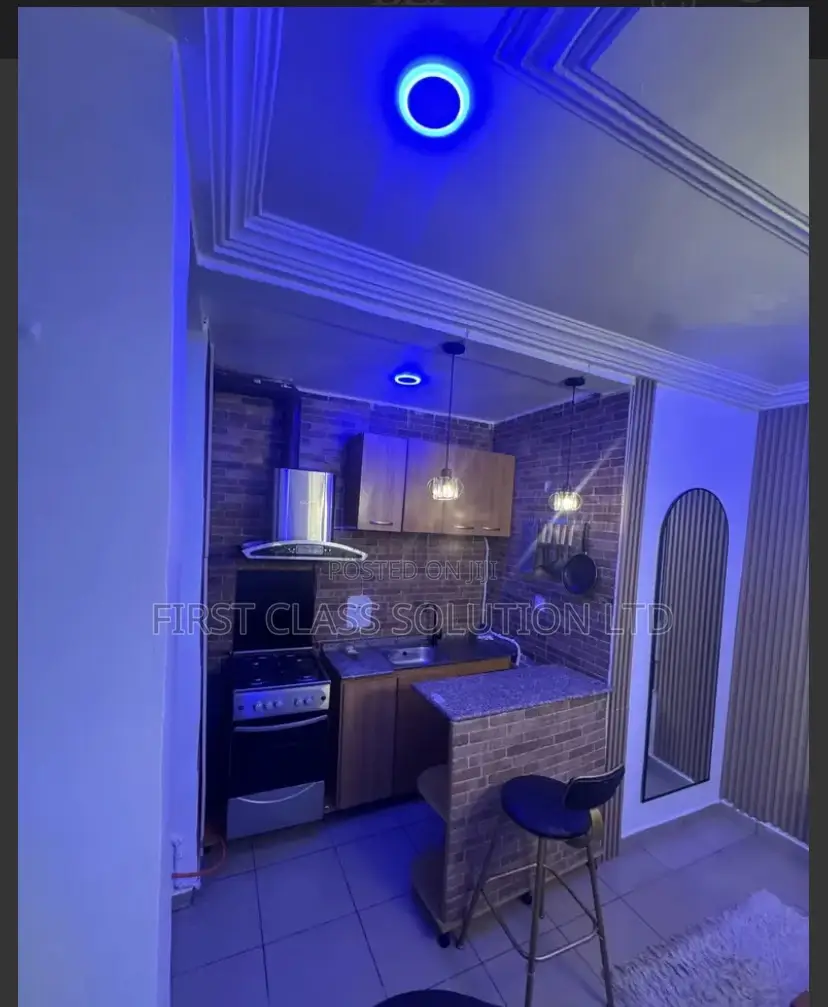 1 Bedroom Apartment in Wuse 2
