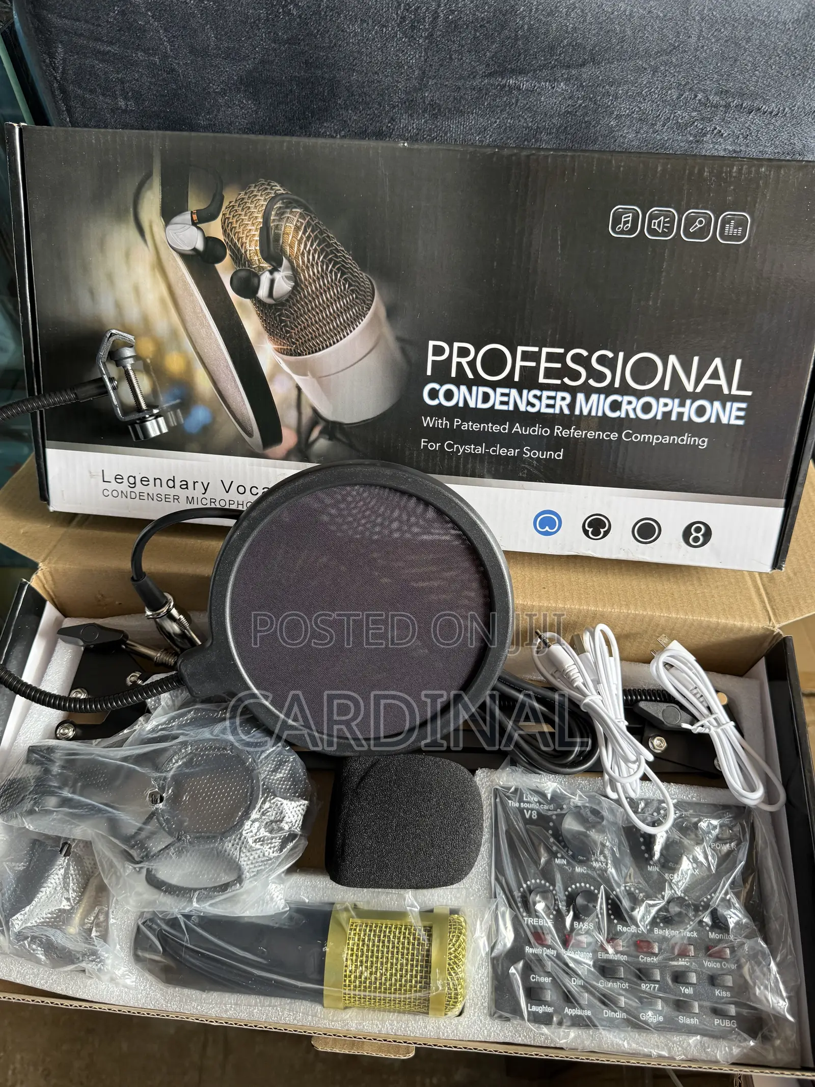 V8 Professional Condenser Mic