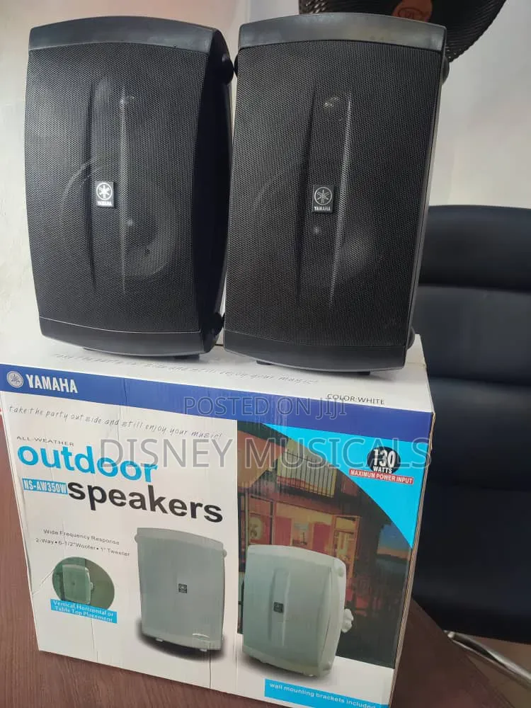 Yamaha Wall Hanging Speaker