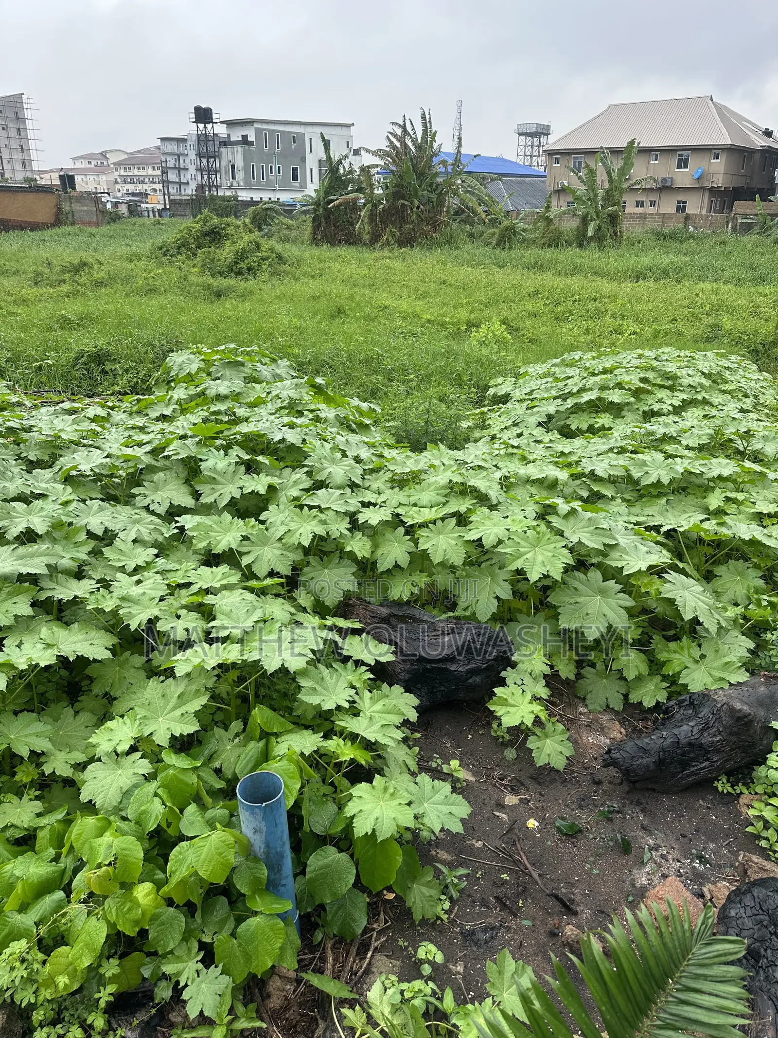 5 Plot Together for Sale in Yaba Lagos State Per