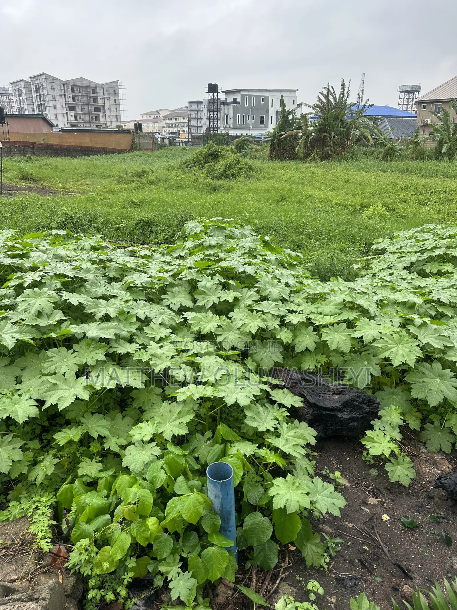 5 Plot Together for Sale in Yaba Lagos State Per