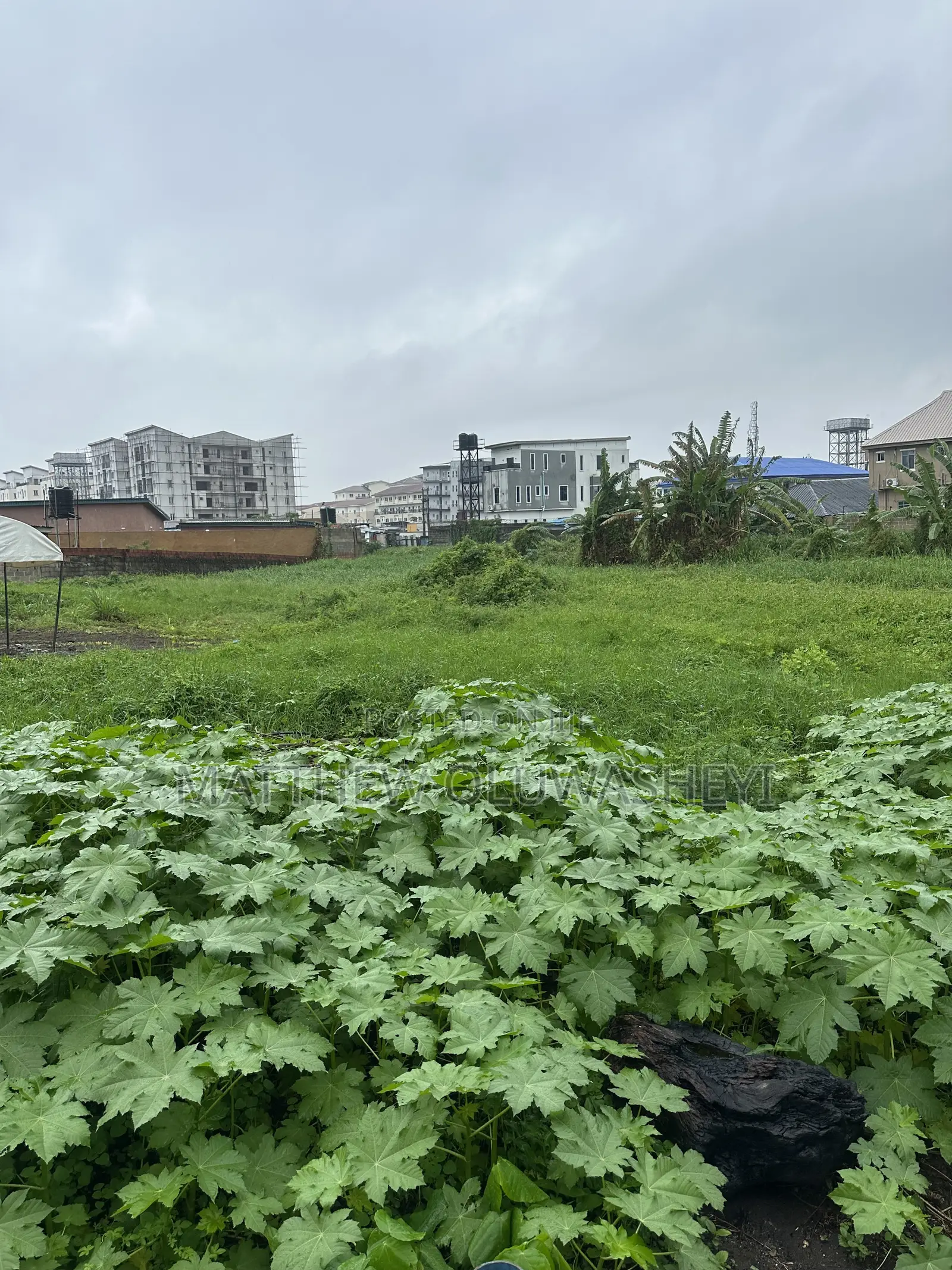 5 Plot Together for Sale in Yaba Lagos State Per