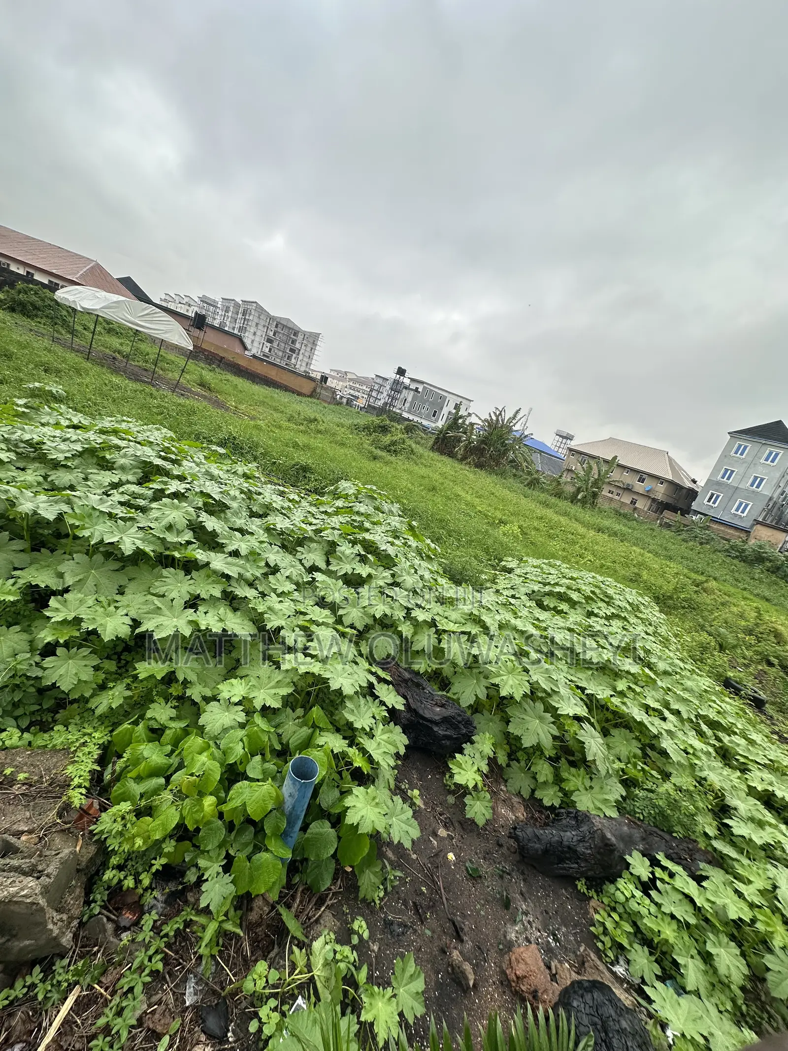 5 Plot Together for Sale in Yaba Lagos State Per