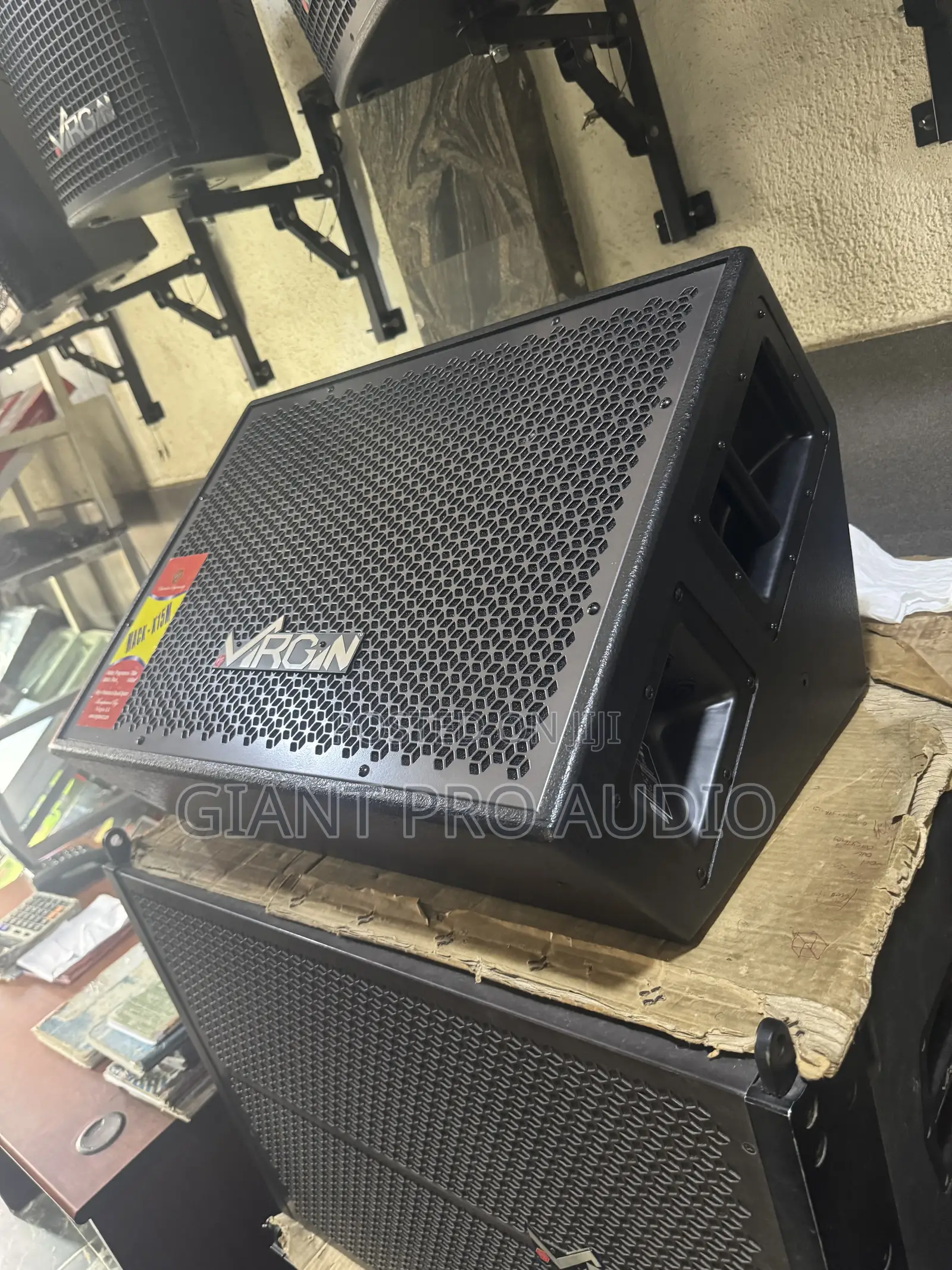 15 Inches Virgin Monitor (Feedback Speaker)