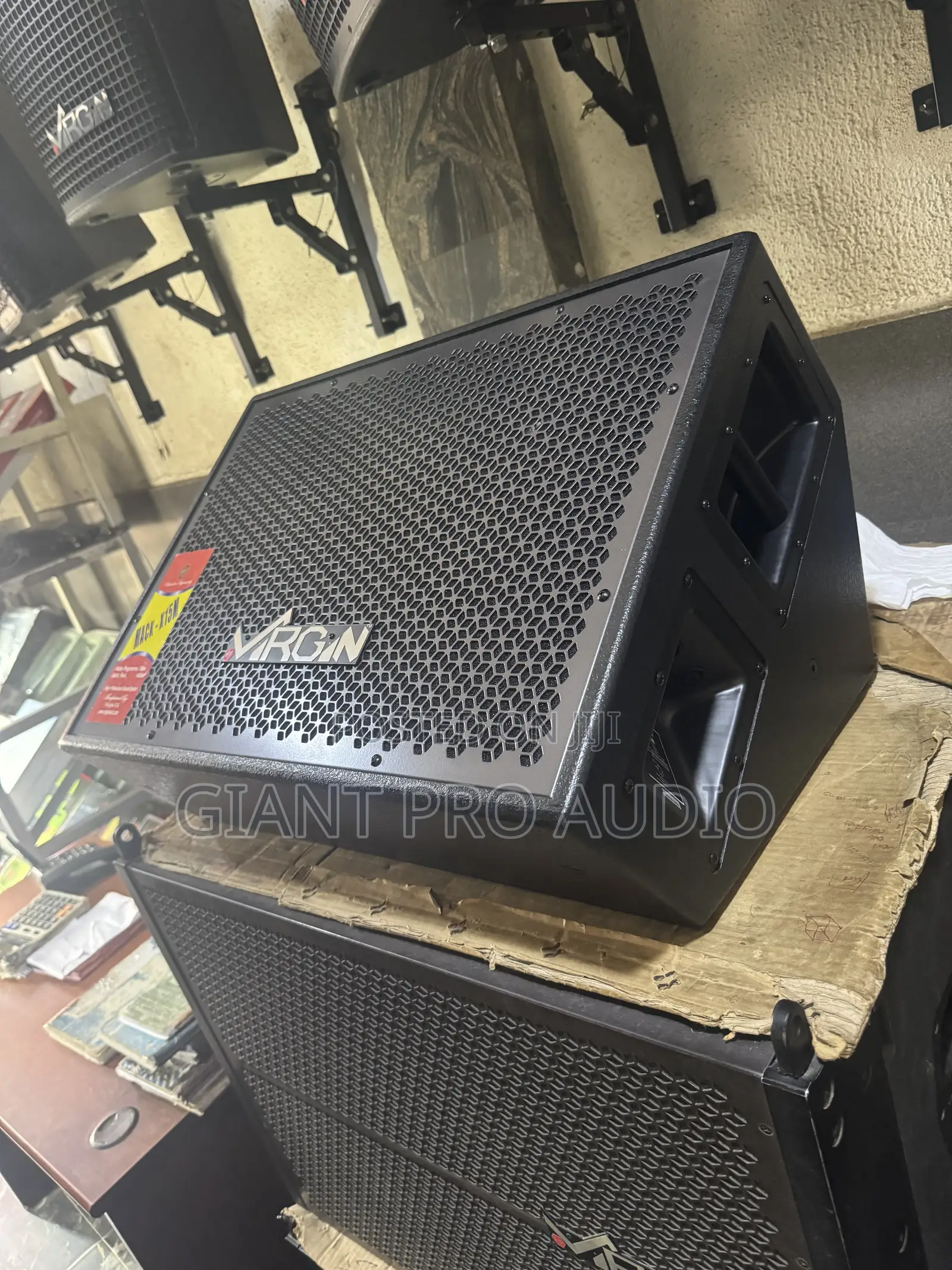 15 Inches Virgin Monitor (Feedback Speaker)