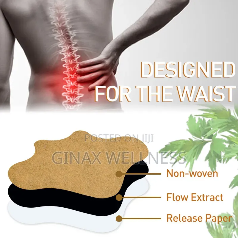 Sumifun Lumbar Vertebra Plaster (12 Plasters)
