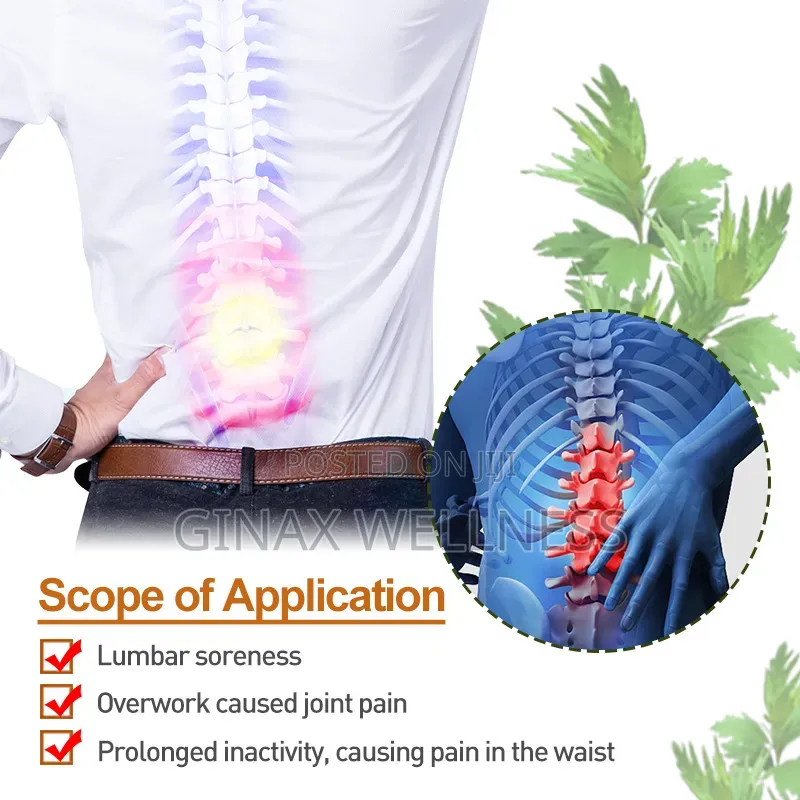 Sumifun Lumbar Vertebra Plaster (12 Plasters)