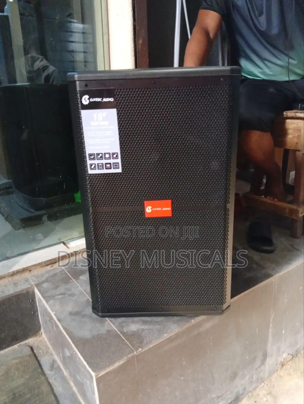 Classic Audio Acoustic Body Pa System