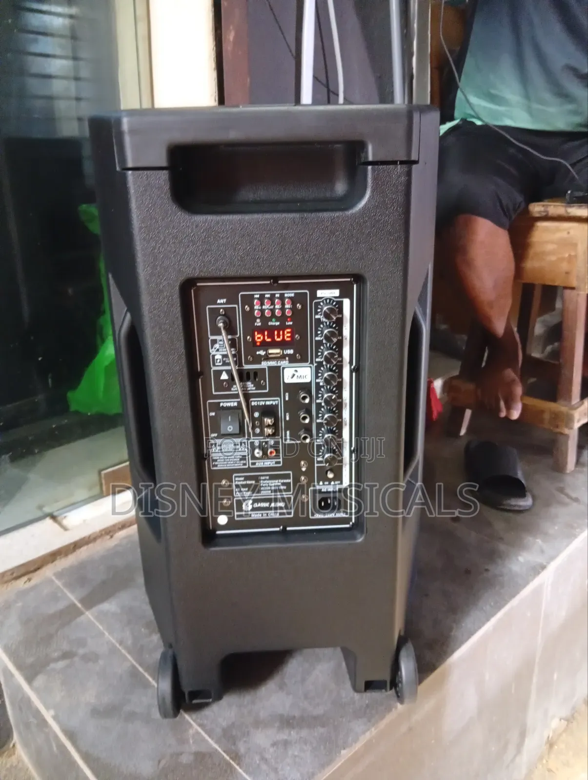 Classic Audio Acoustic Body Pa System