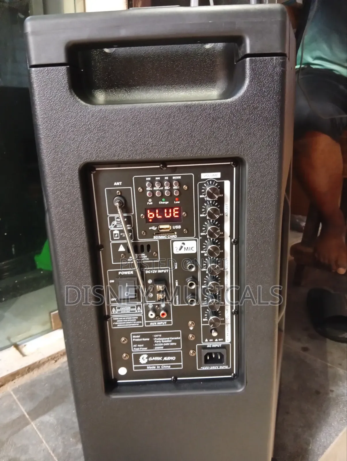 Classic Audio Acoustic Body Pa System