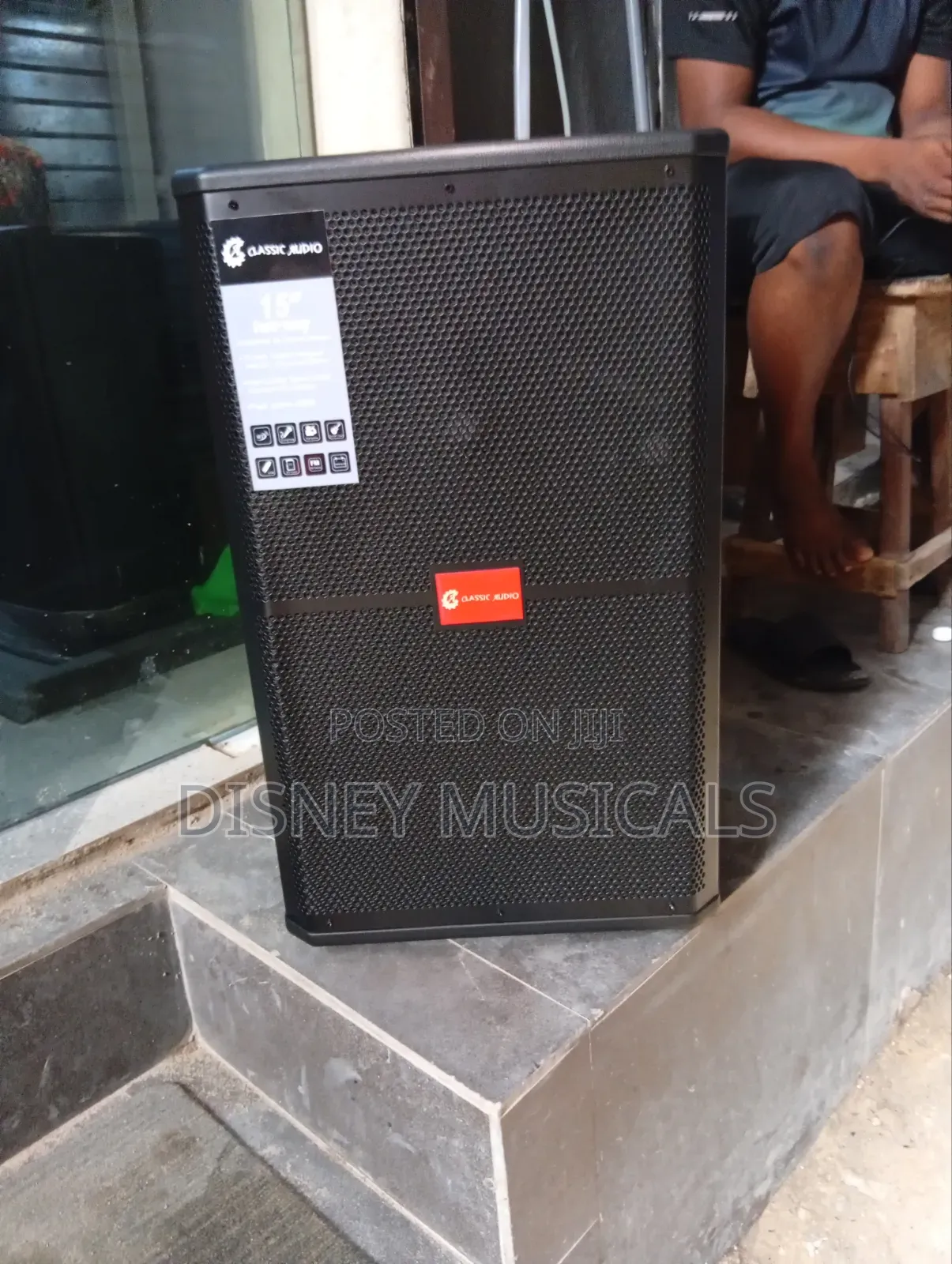 Classic Audio Acoustic Body Pa System