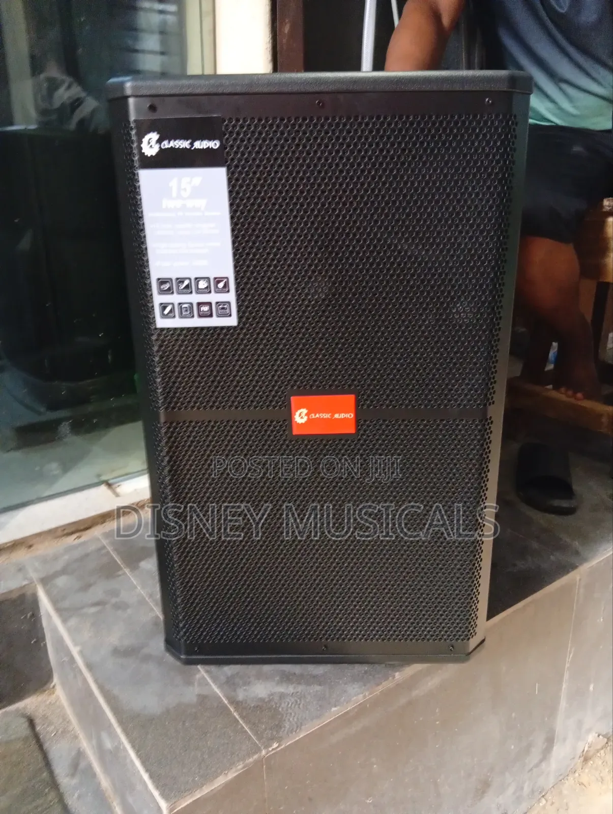Classic Audio Acoustic Body Pa System