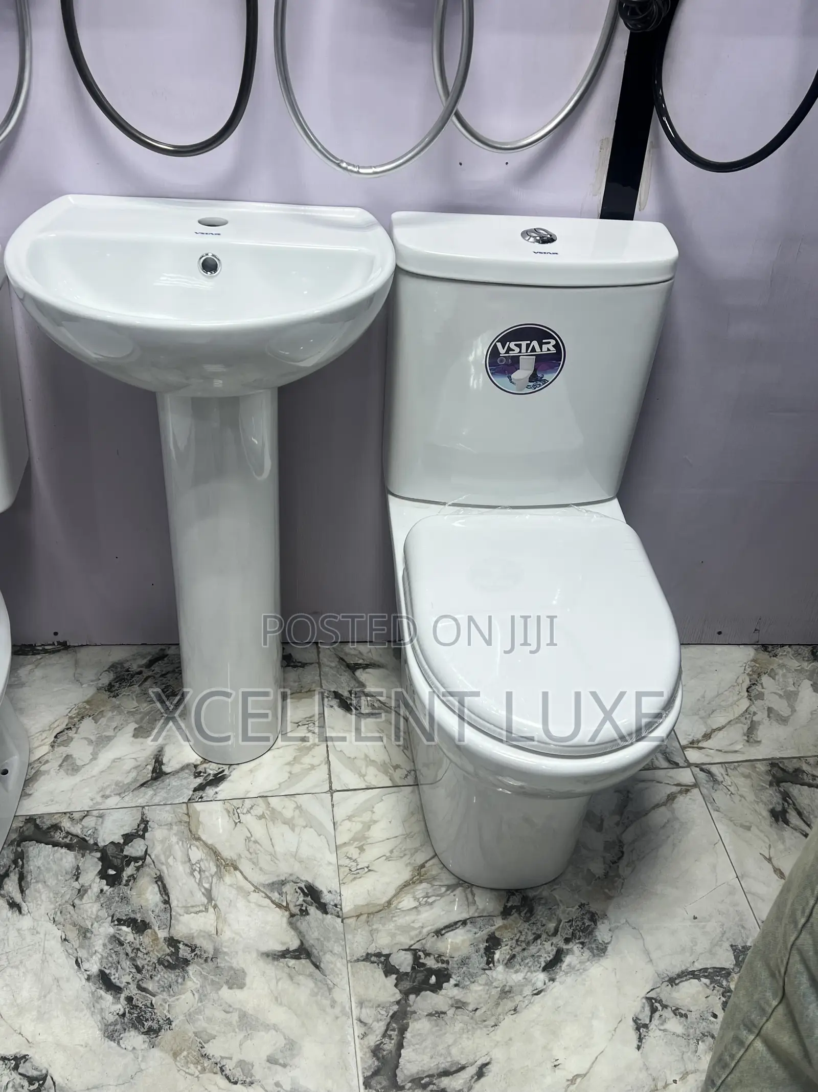 Executive Vstar Wc  With Wash Hand Basin