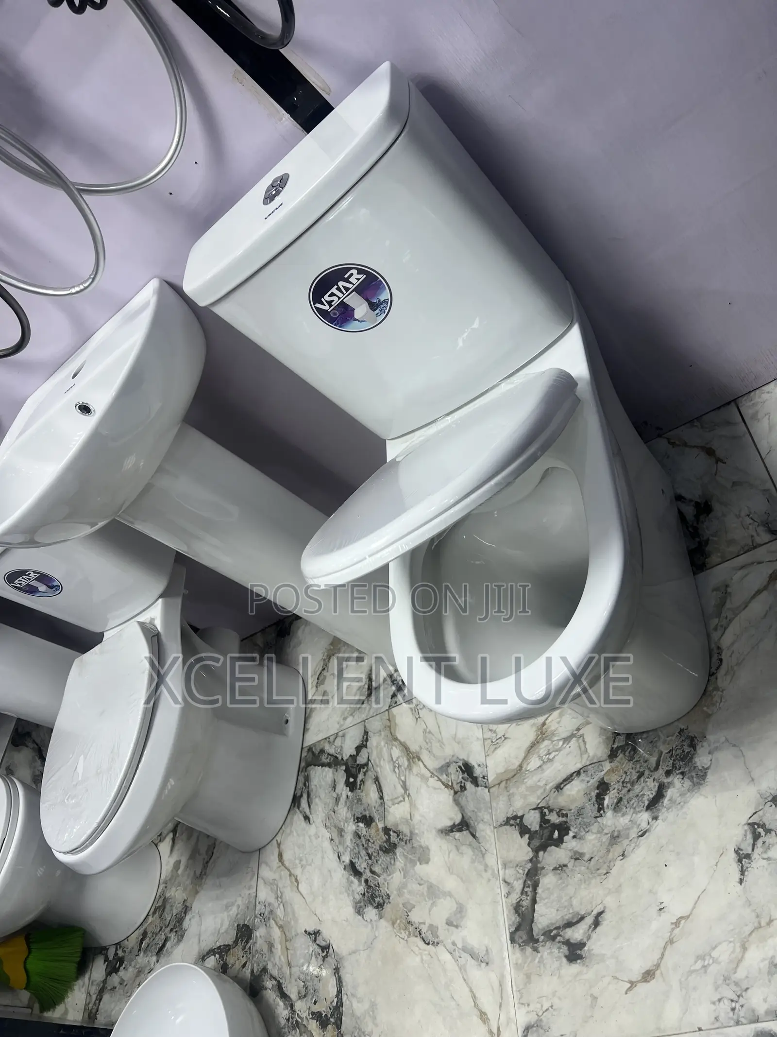 Executive Vstar Wc  With Wash Hand Basin