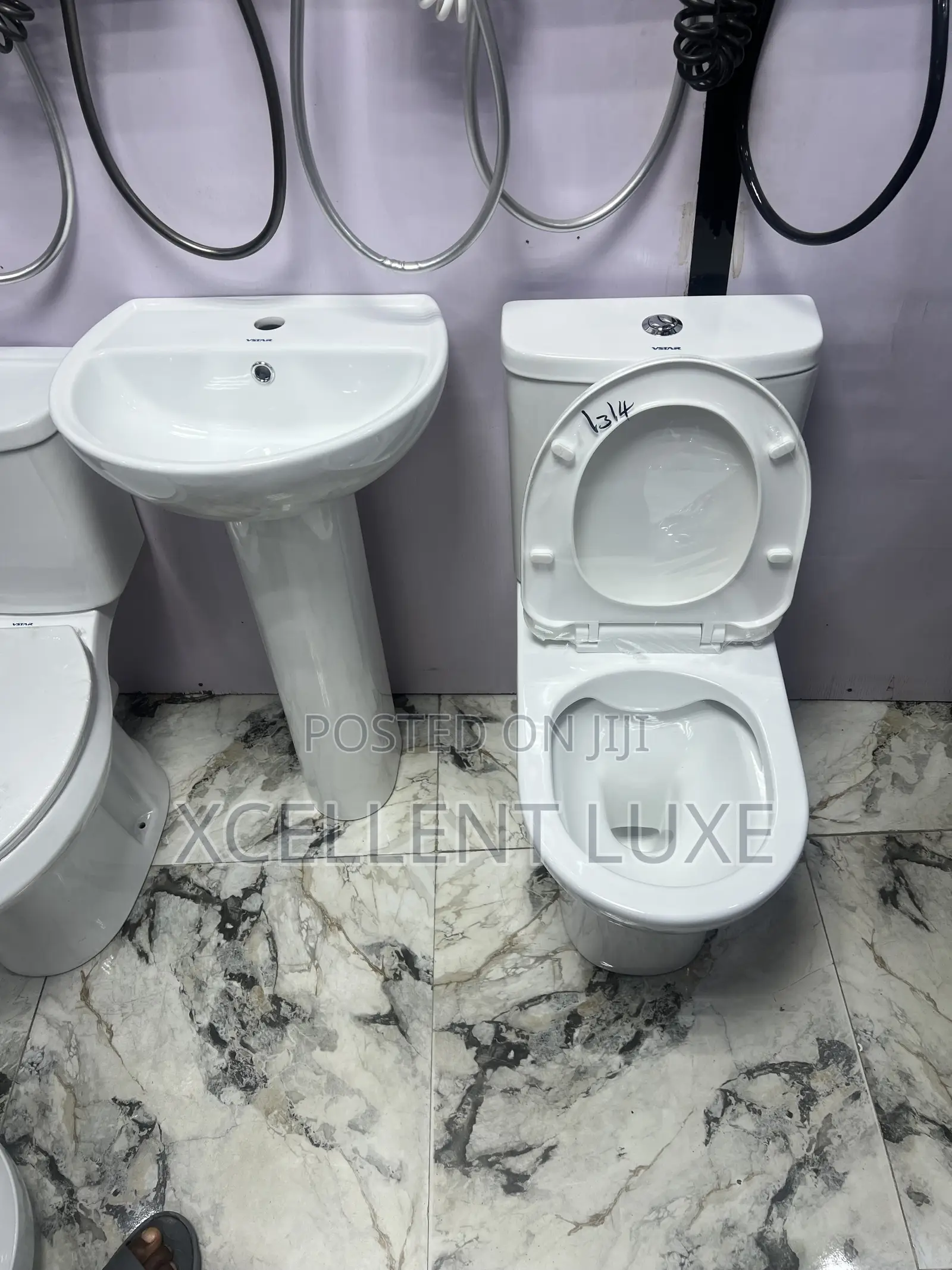 Executive Vstar Wc  With Wash Hand Basin